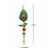 peacock-parrot-hanging04